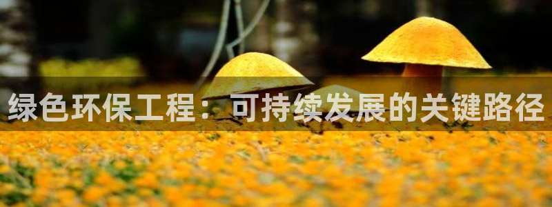 彩名堂计划怎么看：绿色环保工程：可持