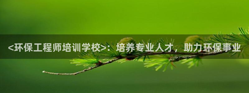 为什么彩名堂今天不能用：<环保工程师