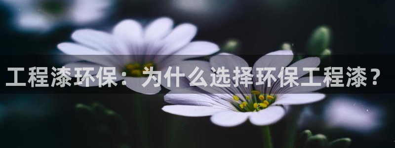 彩名堂拼音怎么拼：工程漆环保：为什么选择环保工程漆？