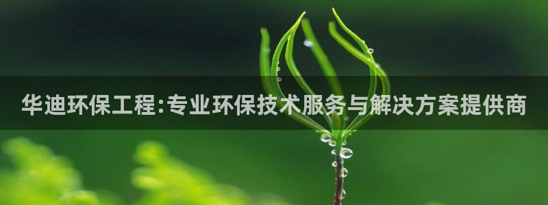 彩名堂合作655560：华迪环保工程:专业环保技术服务与解决方案提供商
