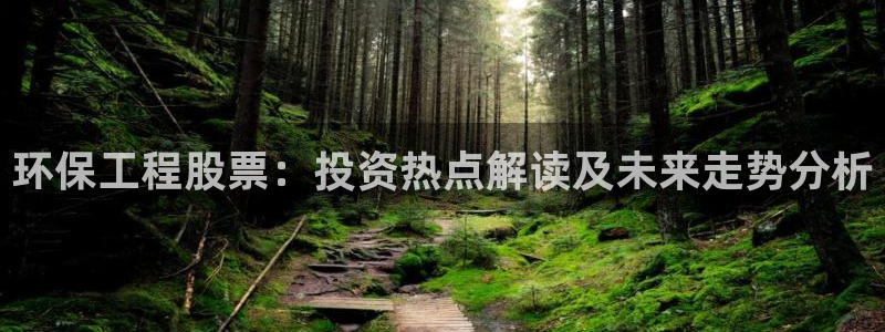 最新彩名堂计划：环保工程股票：投资热