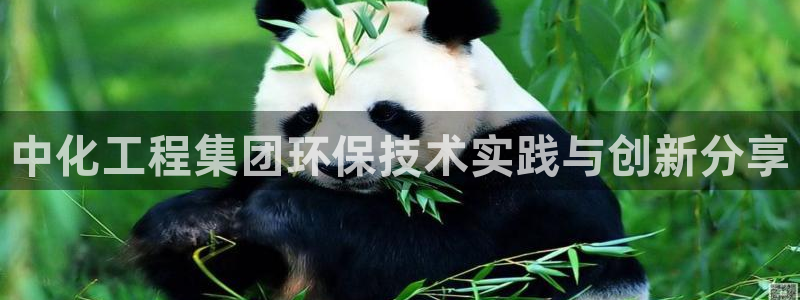 彩名堂是什么：中化工程集团环保技术实