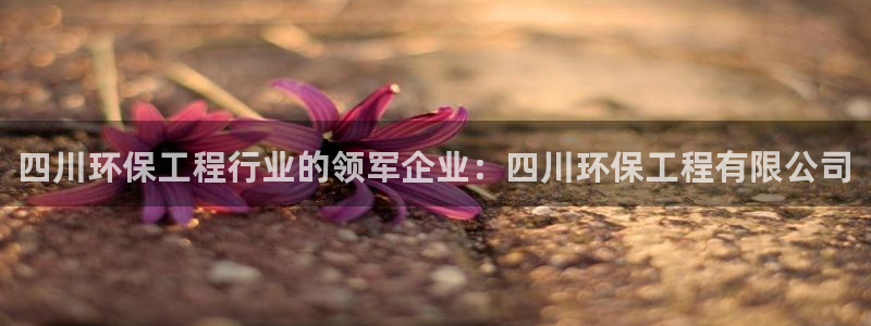 彩名堂计划官方客服：四川环保工程行业