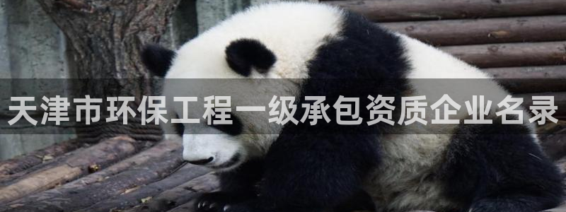 彩名堂5.0：天津市环保工程一级承包