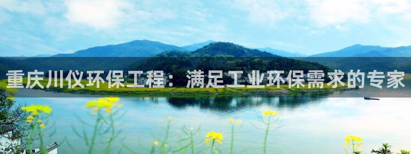 彩名堂为什么打不开：重庆川仪环保工程