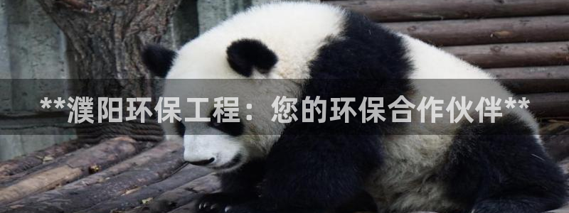 彩名堂官网谁有：**濮阳环保工程：您