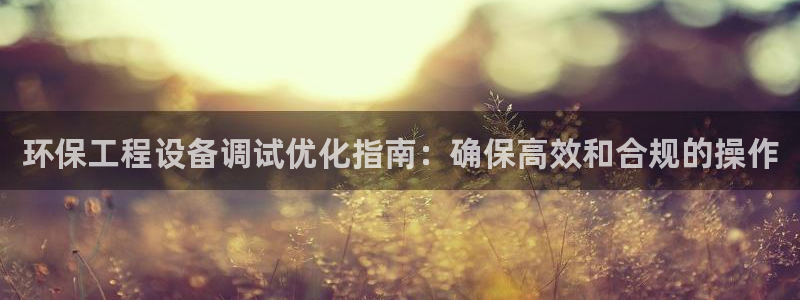 彩名堂最新版www：环保工程设备调试