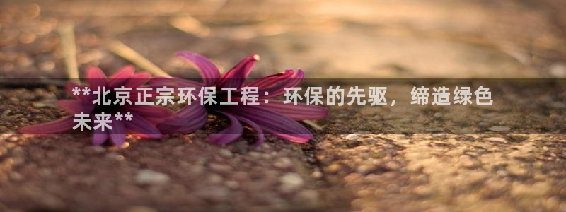 彩名堂是正规的公司吗：**北京正宗环
