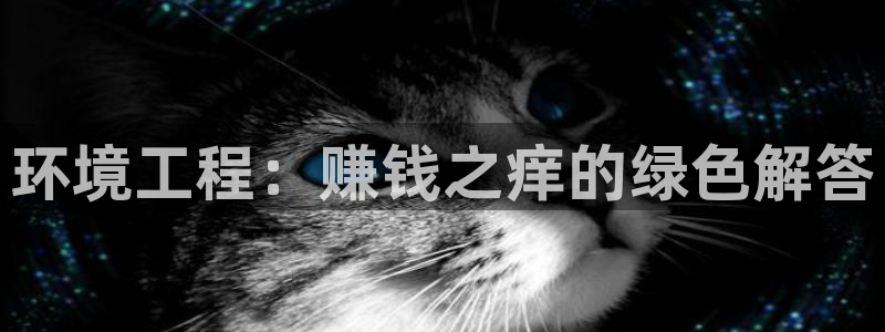彩名堂官网客户端：环境工程：赚钱之痒