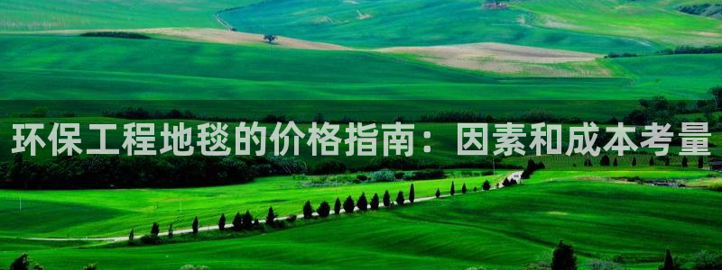 彩名堂用不了：环保工程地毯的价格指南