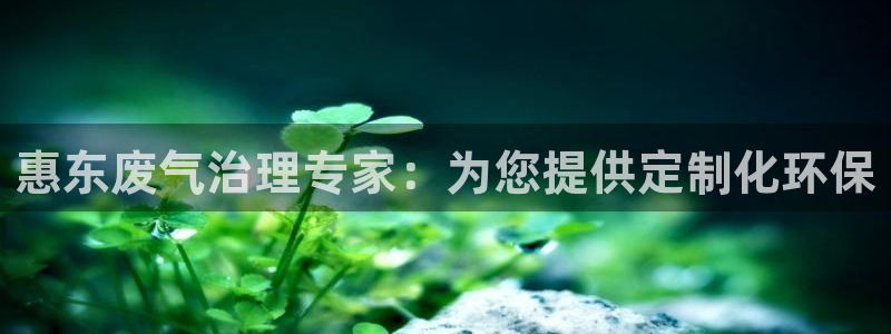 彩名堂怎么选稳定计划产品：惠东废气治