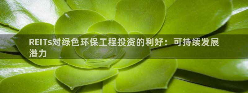 正规彩名堂官网计划01：REITs对