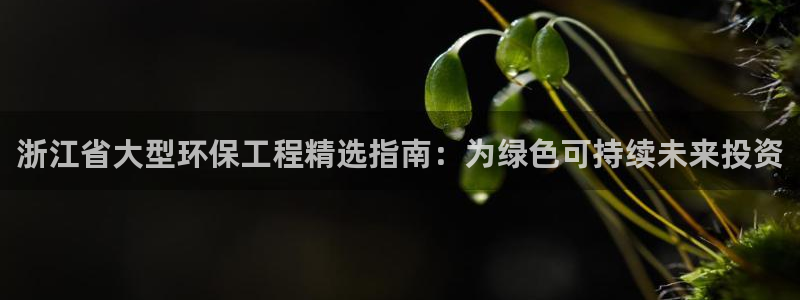 彩名堂计划怎么出的：浙江省大型环保工