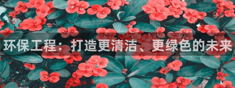 彩名堂官网计划怎么下载：环保工程：打