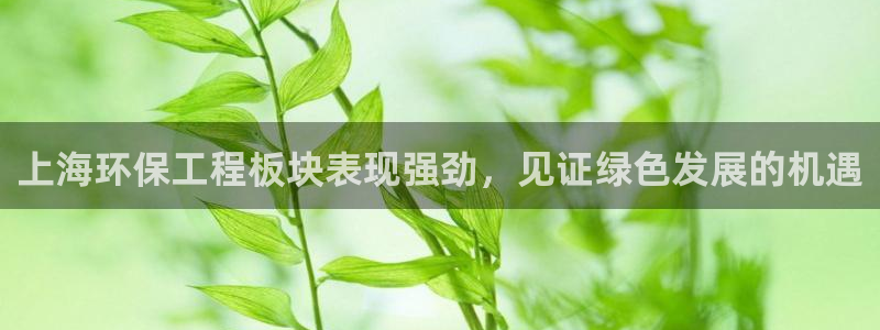 彩名堂好用还是千里马好用：上海环保工