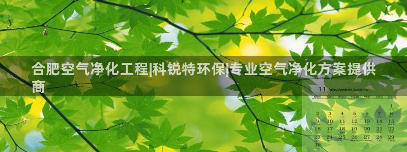 彩名堂预测软件与分析：合肥空气净化工