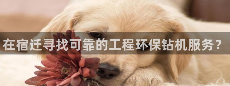 彩名堂苹果客户端怎么下载：在宿迁寻找