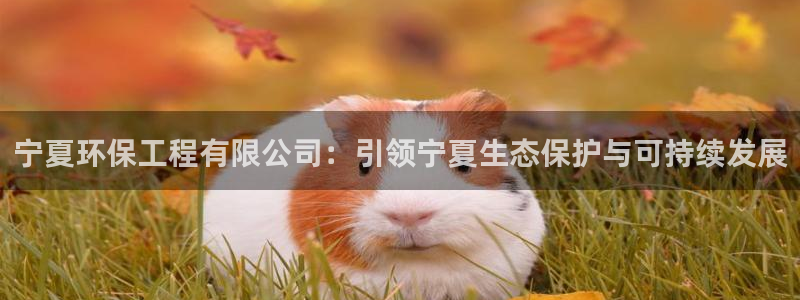 彩名堂官方平台：宁夏环保工程有限公司：引领宁夏生态保护与可持续发展