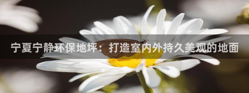 彩名堂手机版官网：宁夏宁静环保地坪：打造室内外持久美观的地面
