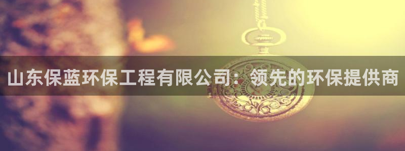 彩名堂排三：山东保蓝环保工程有限公司