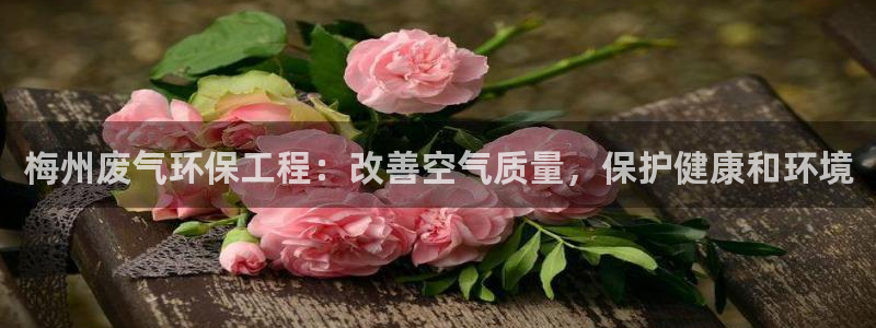 彩名堂01计划：梅州废气环保工程：改善空气质量，保护健康和环境