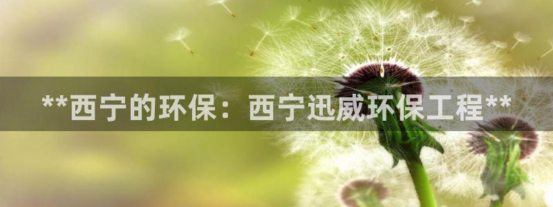 彩名堂app2.05版本：**西宁的