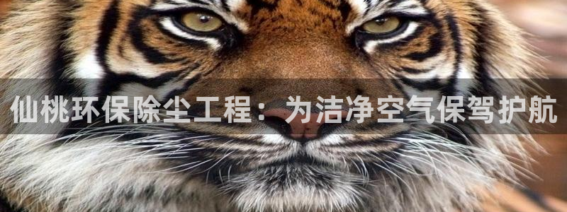 彩名堂预测官网：仙桃环保除尘工程：为洁净空气保驾护航