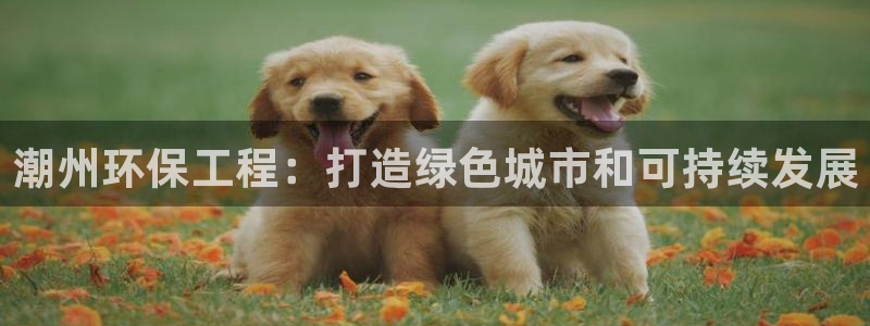 彩名堂用不了：潮州环保工程：打造绿色