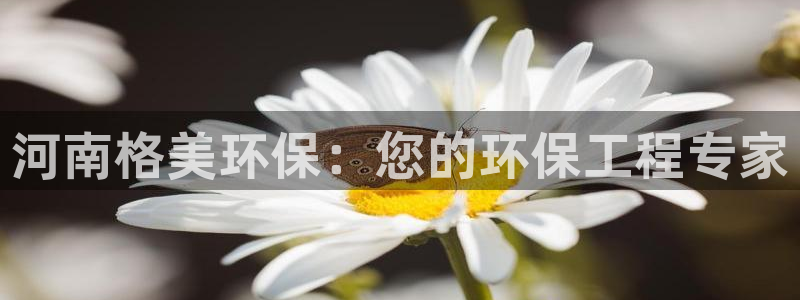 彩名堂计划官网客户端：河南格美环保：