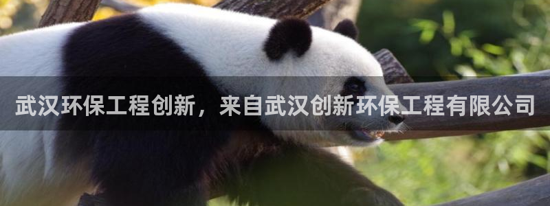 彩名堂是正规的公司吗：武汉环保工程创
