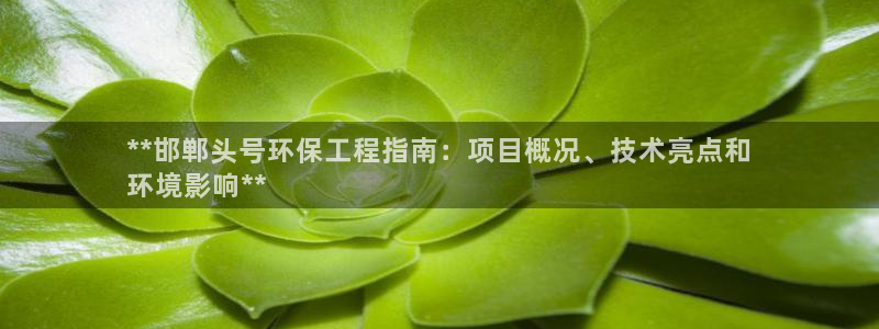 彩名堂排三：**邯郸头号环保工程指南