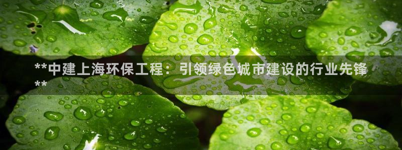 彩名堂人工预测免费计划：**中建上海