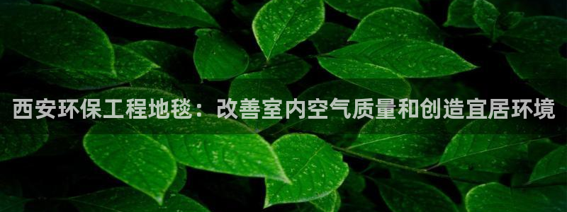 彩名堂官网在线计划怎么不更新了：西安
