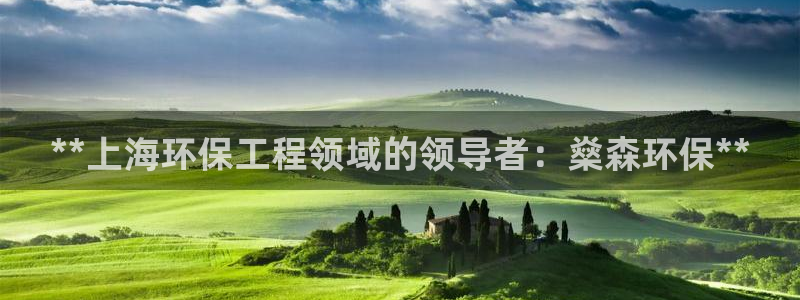 彩名堂计划技巧：**上海环保工程领域的领导者：燊森环保**