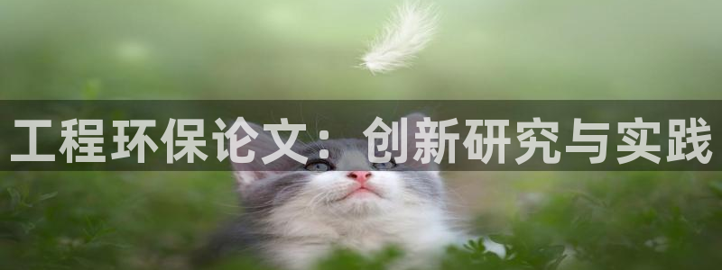 彩名堂4.3：工程环保论文：创新研究