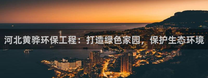 彩名堂客户端加拿大：河北黄骅环保工程