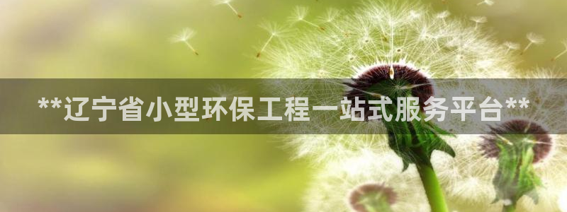 最新彩名堂计划：**辽宁省小型环保工