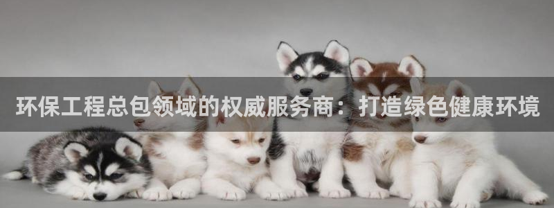 彩名堂计划技巧：环保工程总包领域的权威服务商：打造绿色健康环境