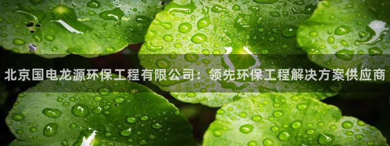 彩名堂和01计划哪个好：北京国电龙源