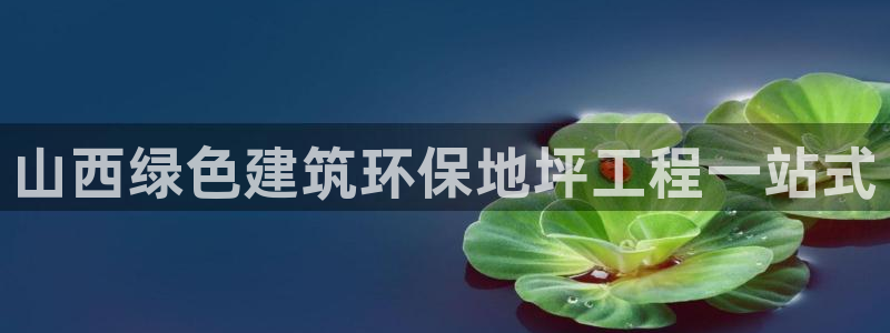 彩名堂预测软件与分析软件区别：山西绿