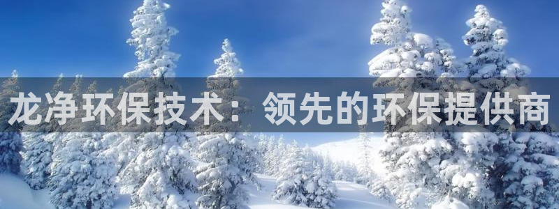 彩名堂计划怎么看：龙净环保技术：领先