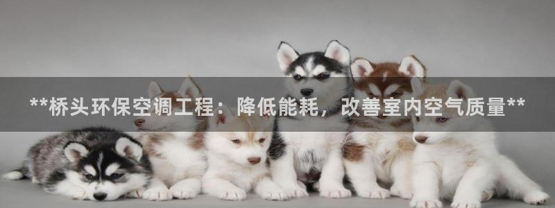 彩名堂旧版本：**桥头环保空调工程：
