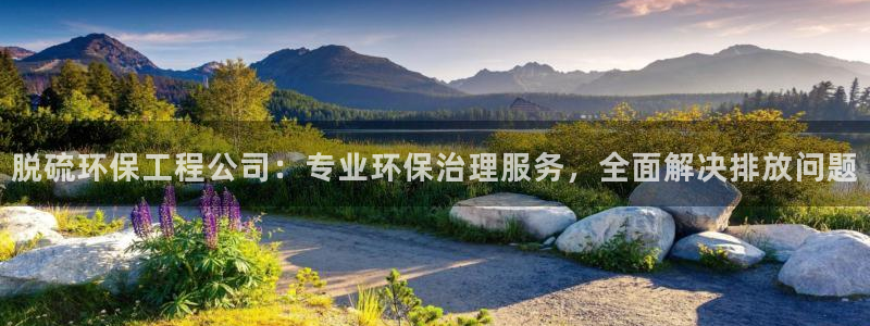 彩名堂安卓客户端官网：脱硫环保工程公
