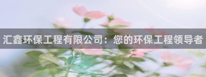 谁知道彩名堂网站是多少：汇鑫环保工程