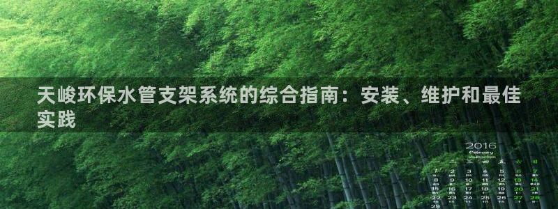 彩名堂安卓客户端官网下载安装：天峻环保水管支架系统的综合指南：安装、维护和最佳
实践