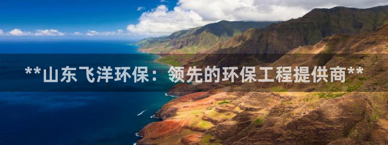 彩名堂计划最新版手机版：**山东飞洋