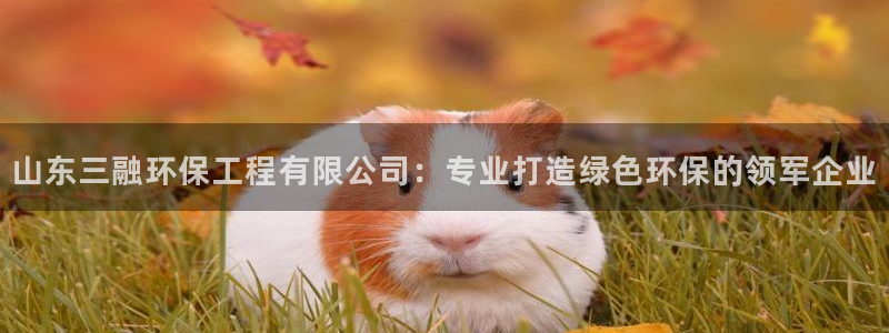 彩名堂免费计划官网5.0app：山东