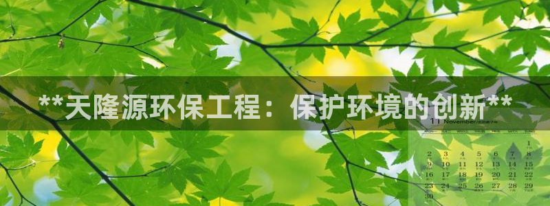 彩名堂5.0：**天隆源环保工程：保