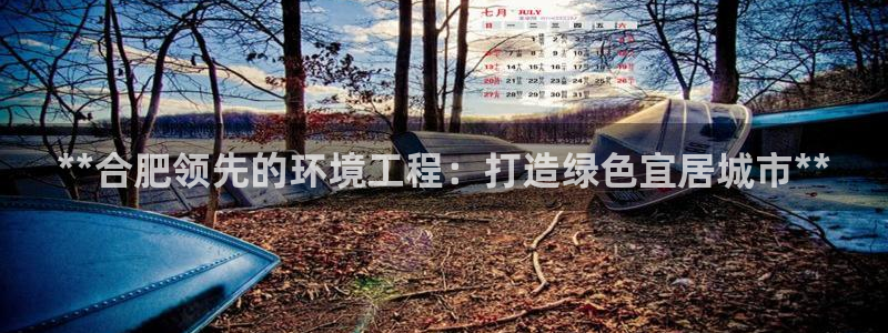 如何进入彩名堂官网更新：**合肥领先