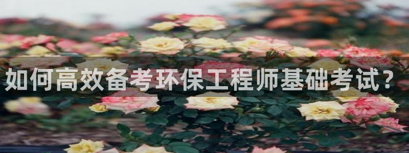 彩名堂.netnet：如何高效备考环